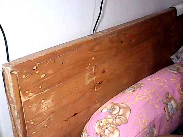 Holygurly webcam