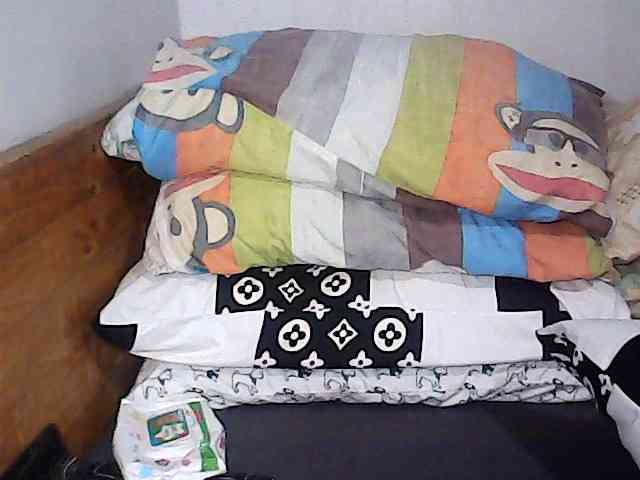 Holygurly webcam