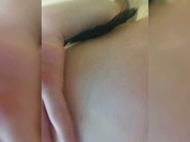 MollyDave