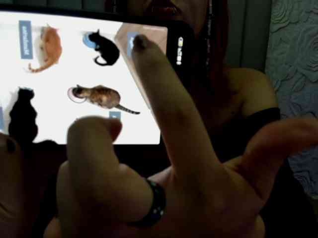 AlexaFoxy18 webcam