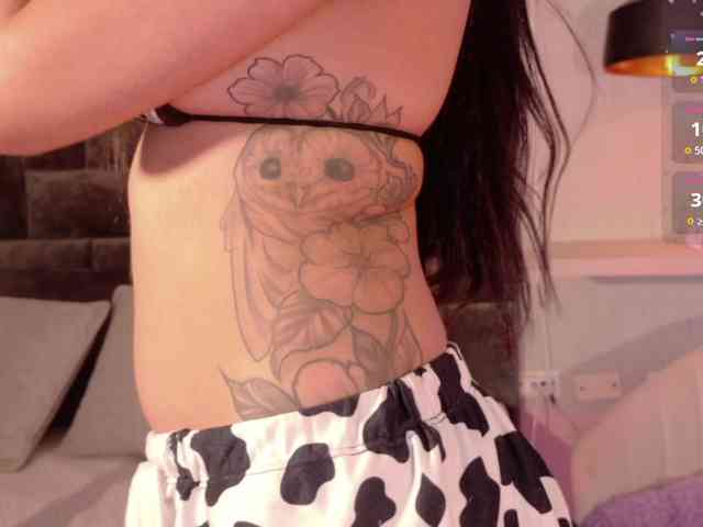 pikayle webcam