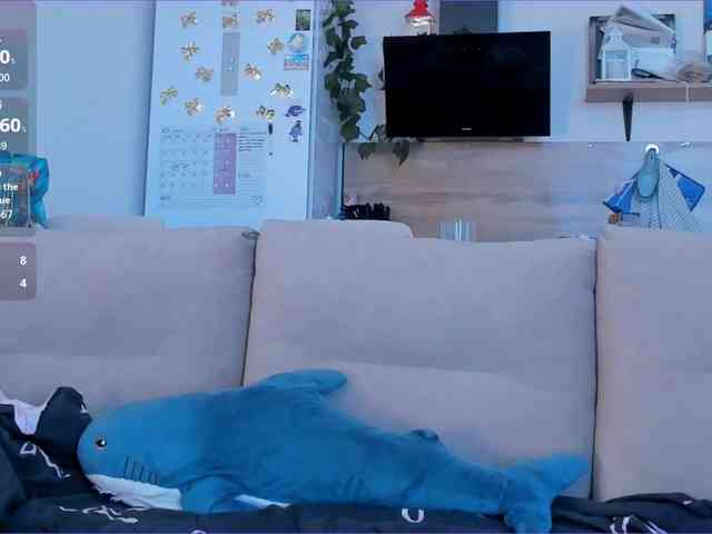 Akakimakakaya webcam