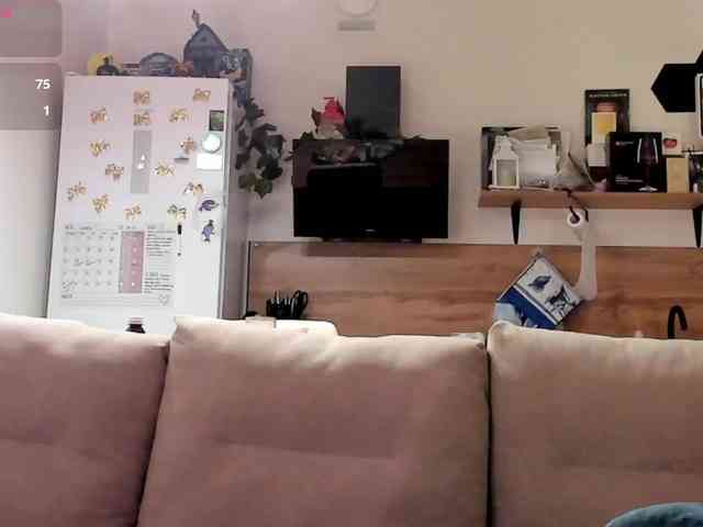 Akakimakakaya webcam