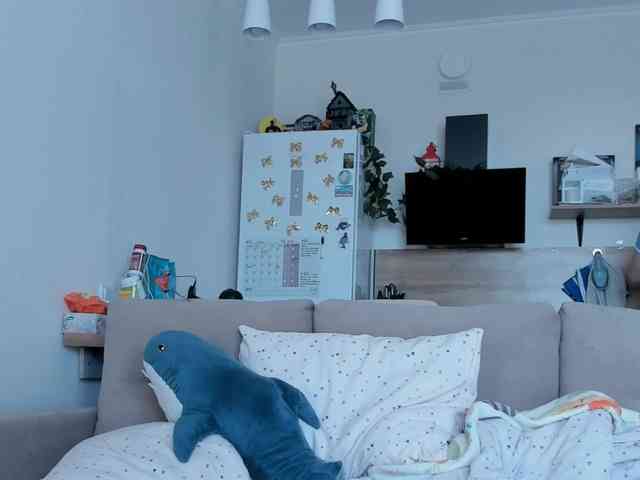 Akakimakakaya webcam