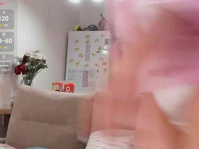 Akakimakakaya webcam