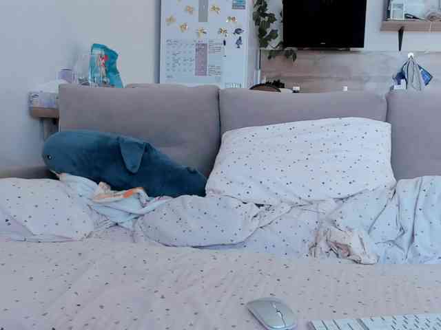 Akakimakakaya webcam
