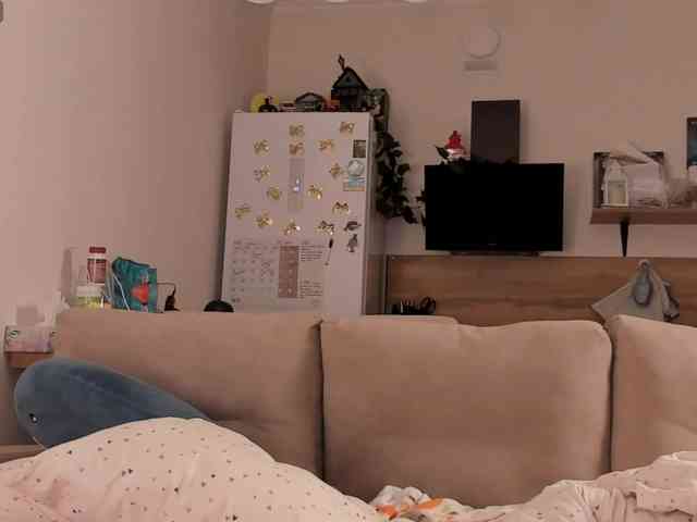 Akakimakakaya webcam