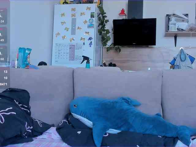 Akakimakakaya webcam