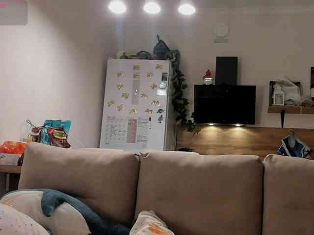 Akakimakakaya webcam