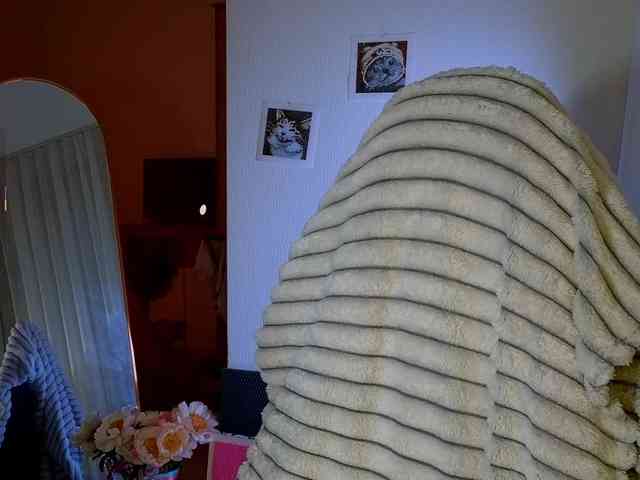 -sweetdreamss- webcam