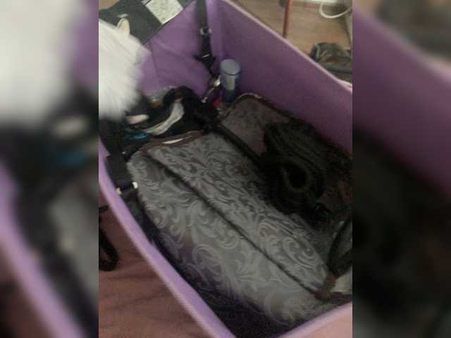 MariCat preview