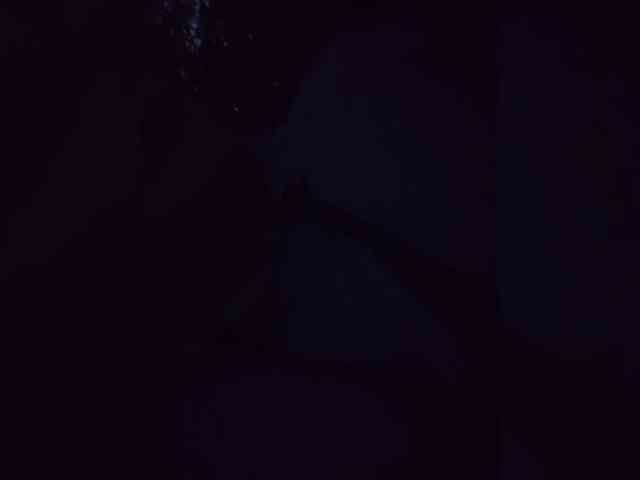 MariCat webcam