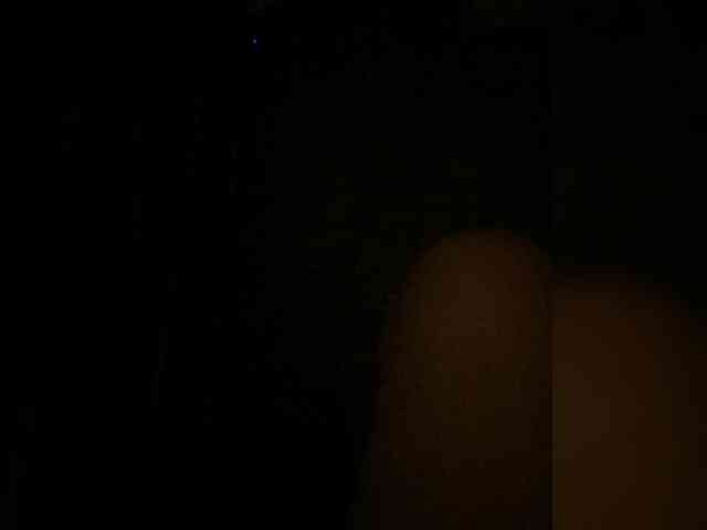 MariCat webcam