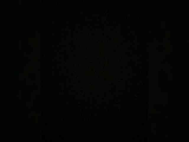 MariCat webcam