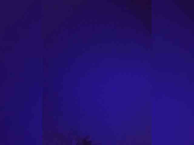 MariCat webcam