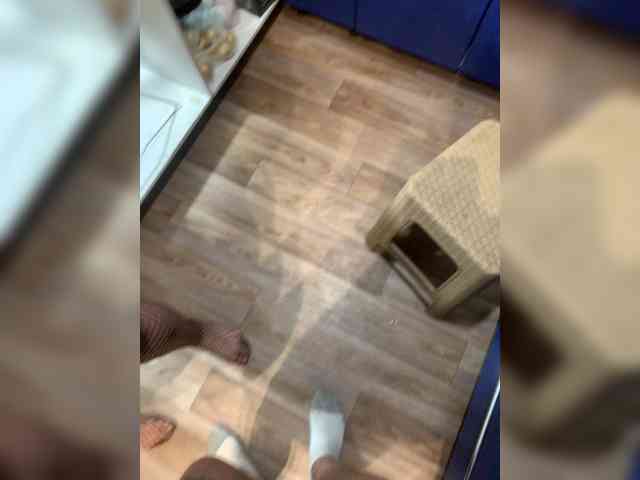 MariCat webcam