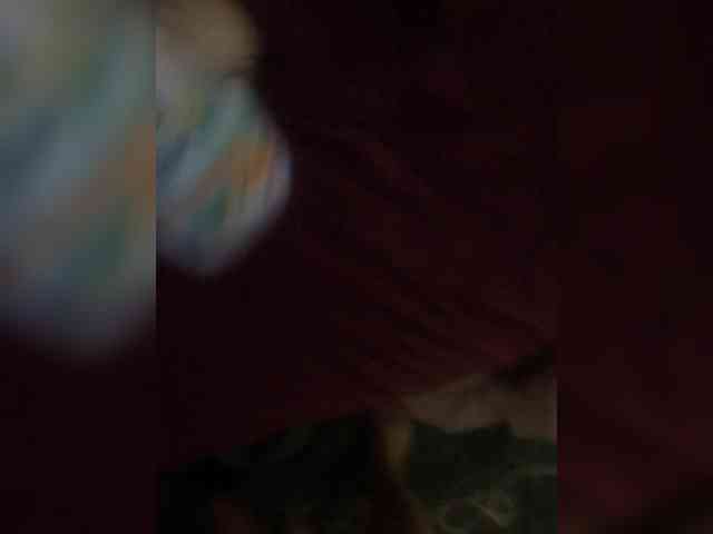 MariCat webcam