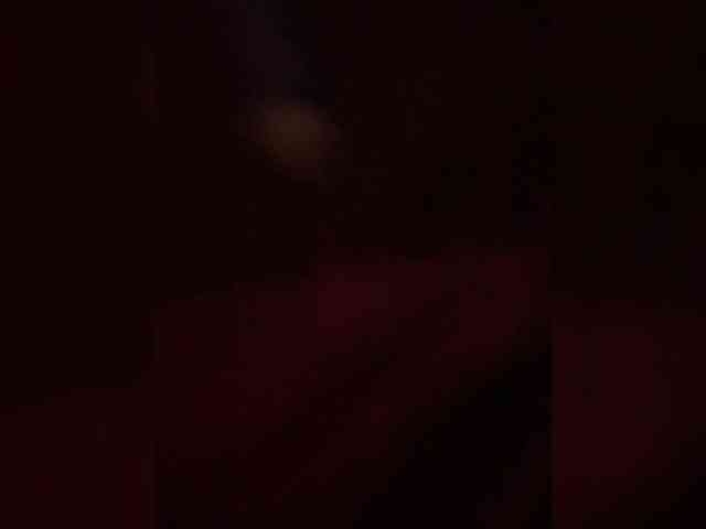 MariCat webcam