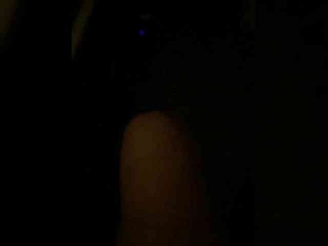 MariCat webcam