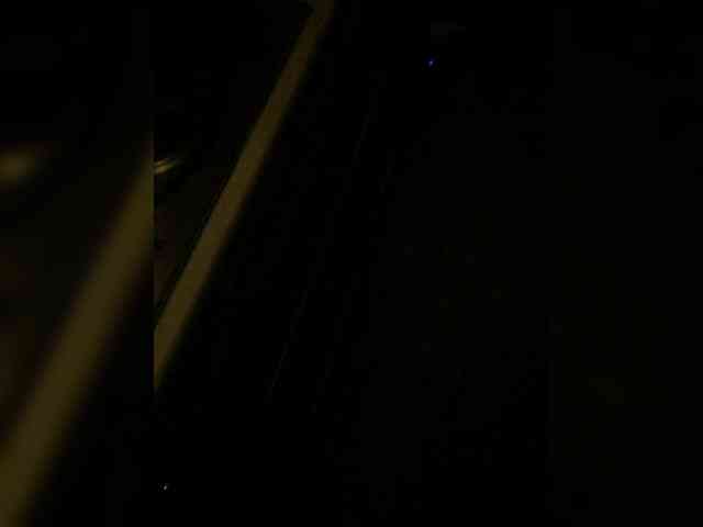 MariCat webcam