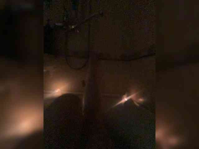 MariCat webcam