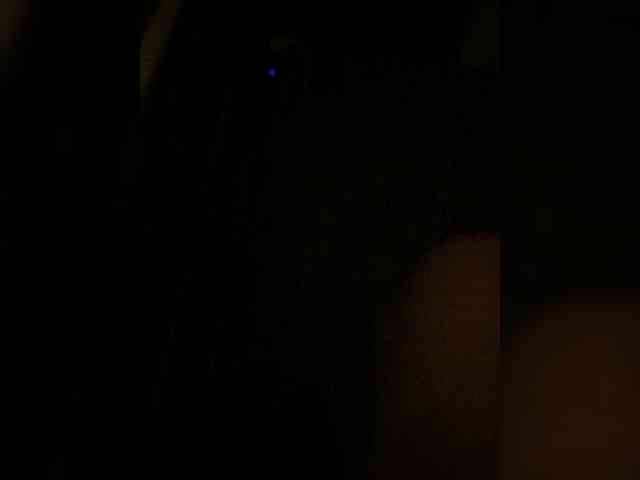 MariCat webcam