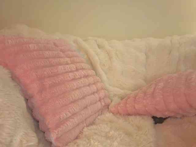 milli-sunrise webcam