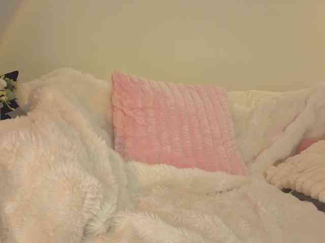 milli-sunrise webcam