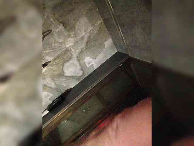 Mileshil webcam