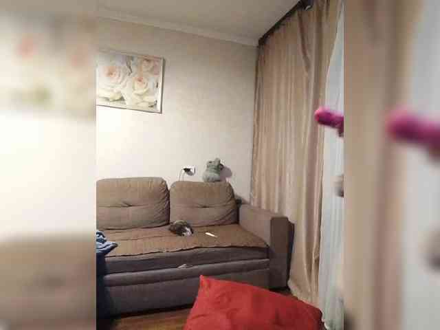 Soba4ka333 webcam