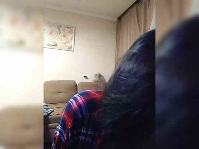 Soba4ka333 webcam