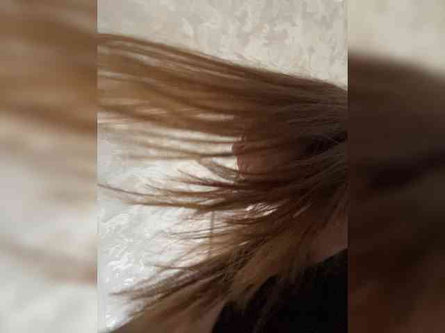 -LeiaProseccina- webcam