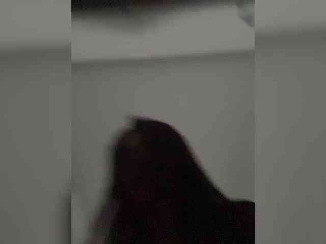 Модель: Y_Leiki