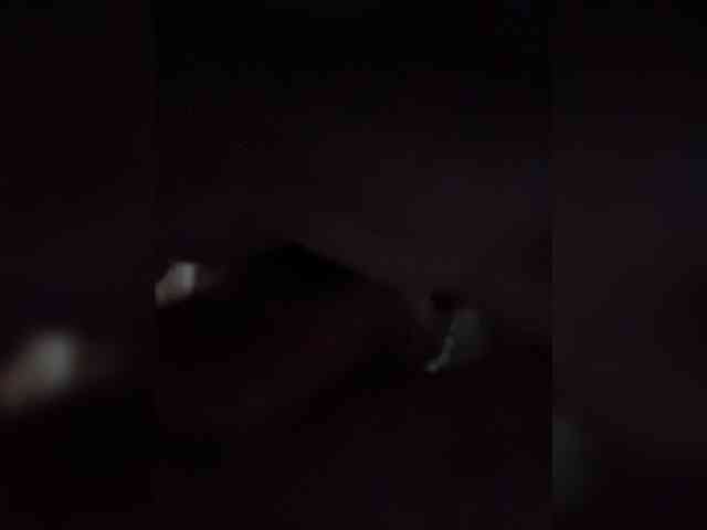 -LeiaProseccina- webcam