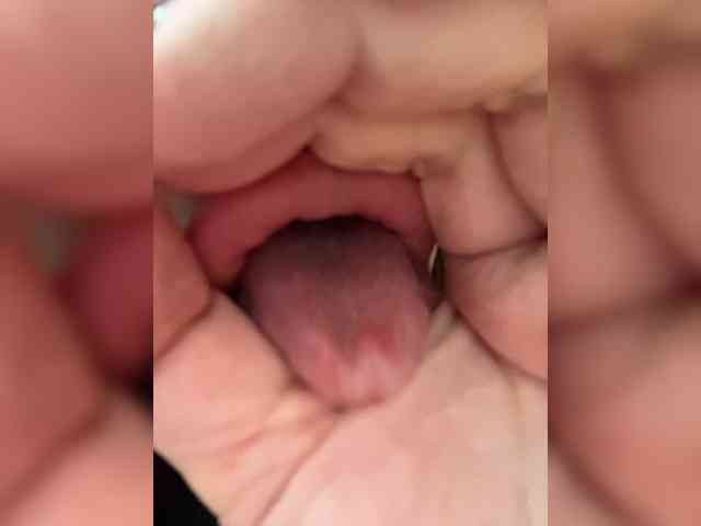 -LeiaProseccina- webcam