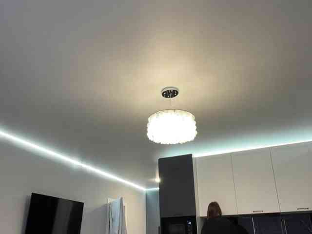 -LeiaProseccina- webcam