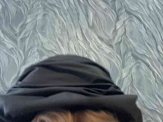 -LeiaProseccina- webcam