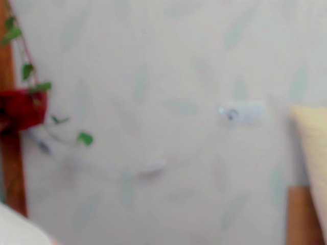 Kelly-Klein live cam on BongaCams
