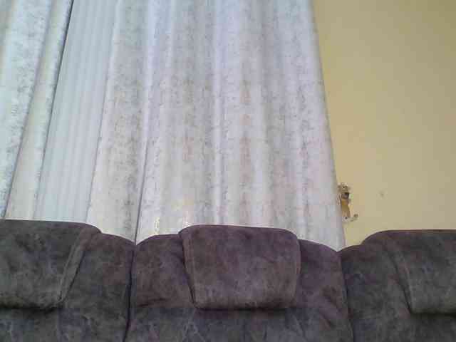 Bad-gyl webcam