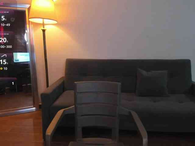 MariaSim webcam
