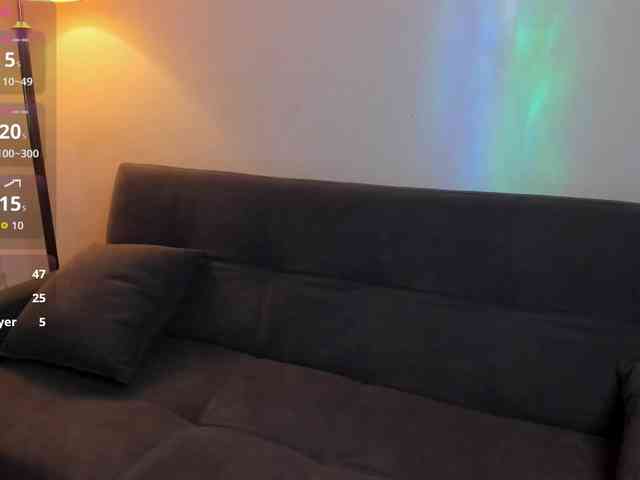 MariaSim webcam