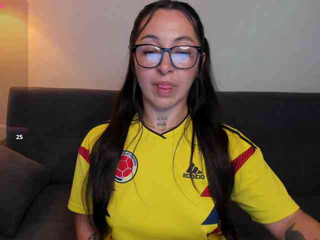 MariaSim webcam