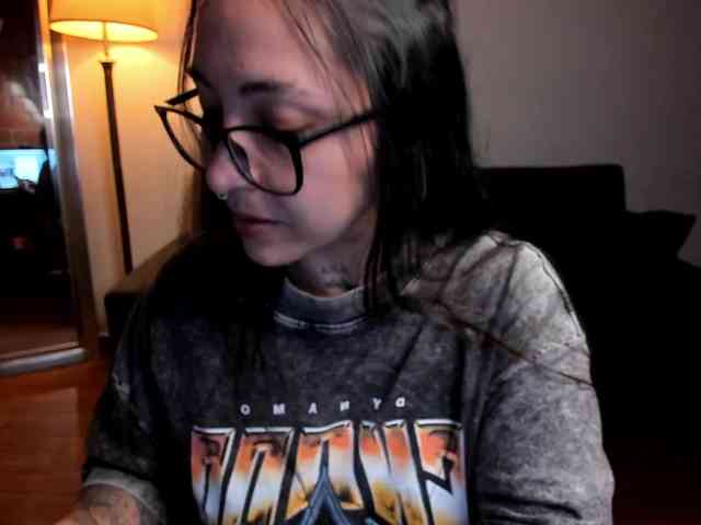 MariaSim webcam