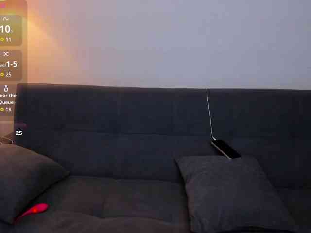 MariaSim webcam