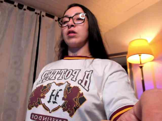 MariaSim webcam