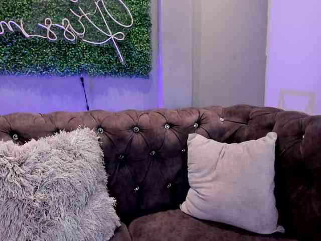 MariaSim webcam