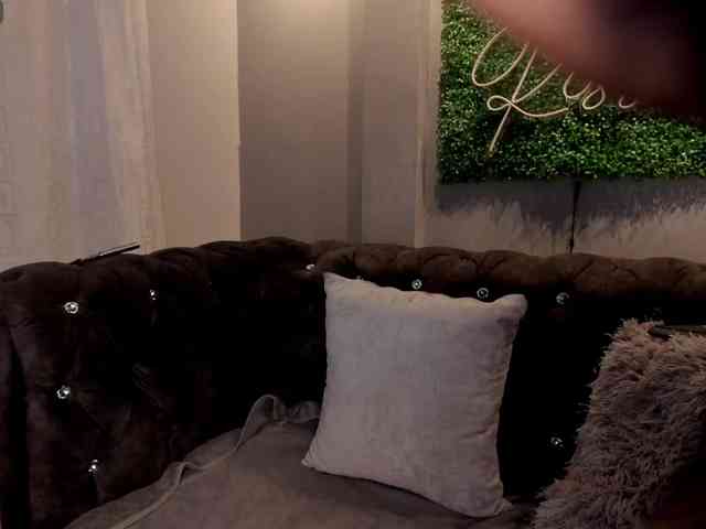 MariaSim webcam