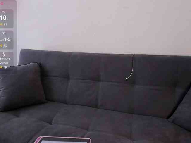 MariaSim webcam