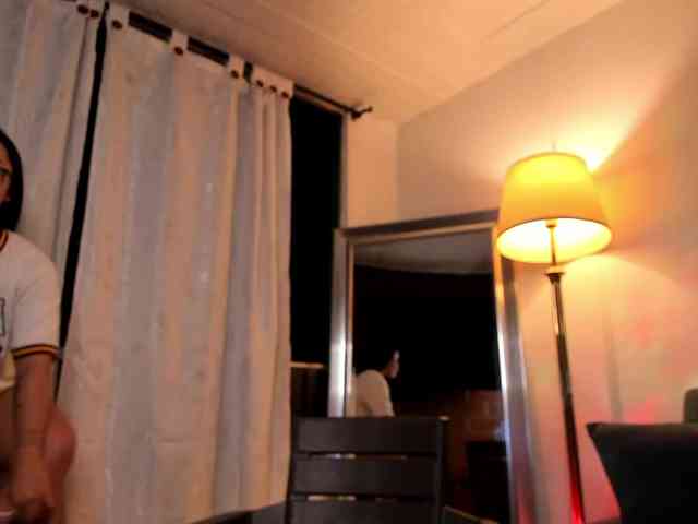 MariaSim webcam