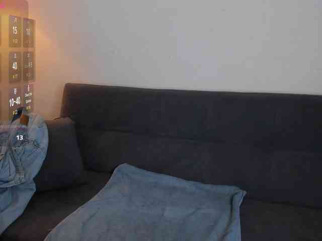 MariaSim webcam